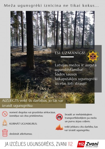Infografika par meža ugunsgrēkiem